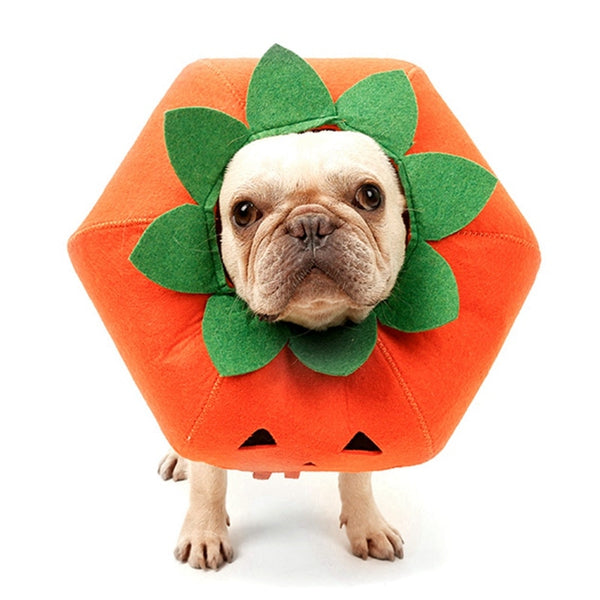 Pumpkin Collar For Dogs Cat Halloween Dress Up Adjustable E-Collar Dog Collar Wound Healing Prevent Bite Elizabeth Circle