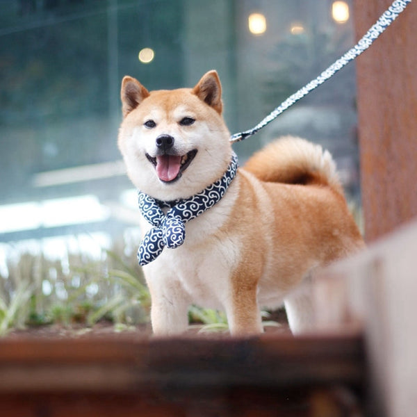 Elevate Your Pet's Style with Dog Bandana Scarf - Pet Super Market