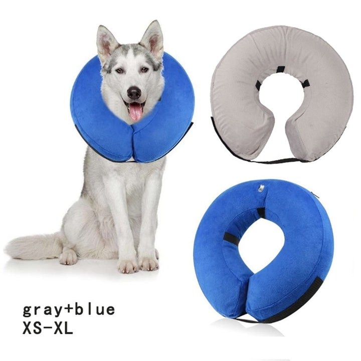 Inflatable Dog Collar for Pet Recovery