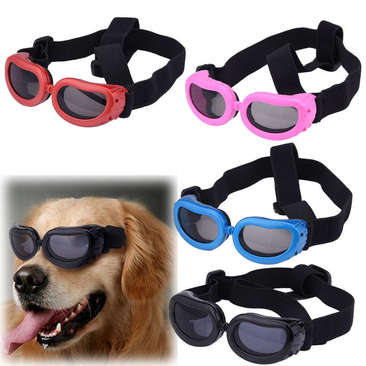 Protect Your Pup in Style with Small Dog Sunglasses - Pet Super Market