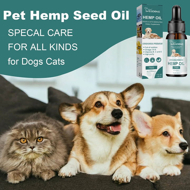 calming essential oils for pets