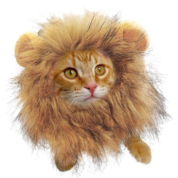 Adorable Kitten Halloween Costumes Lion Mane Pet Costumes - Pet Super Market